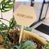 Houten plantensteker met naam