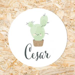 Sticker 40mm cactus
