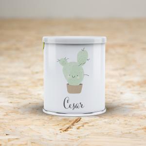Pringles wikkel Cactus