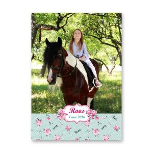 Poster A3 paard