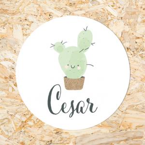 Sticker 40mm cactus