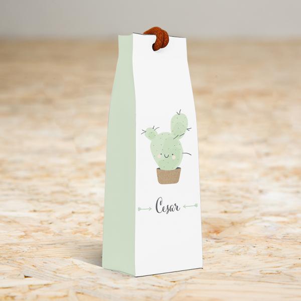 Hoog doosje cactus