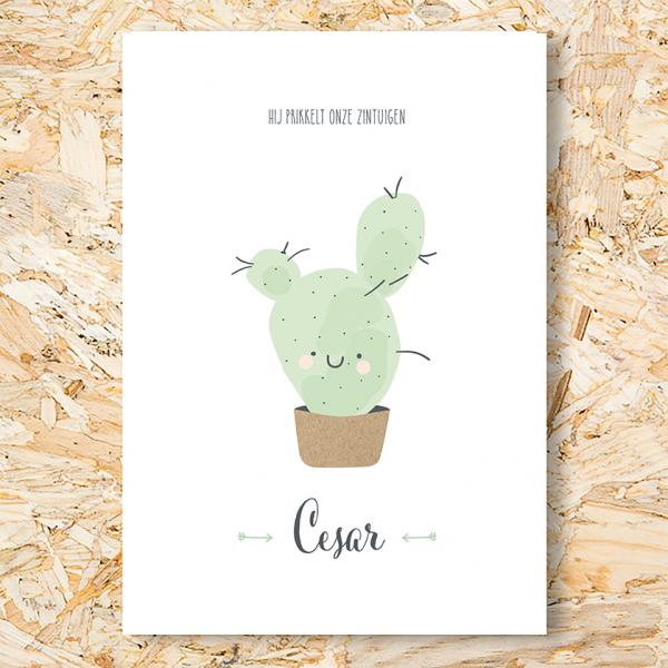 Cactus geboortekaartje