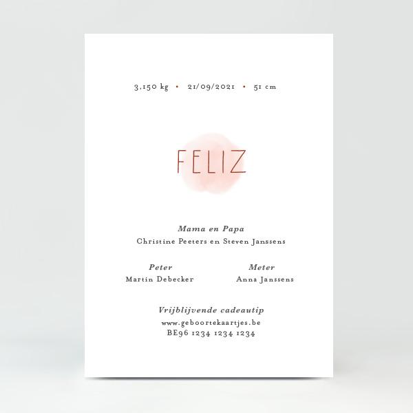 GB007 Geboortekaartje Feliz