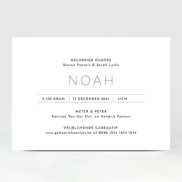 GB040 Geboortekaartje Noah